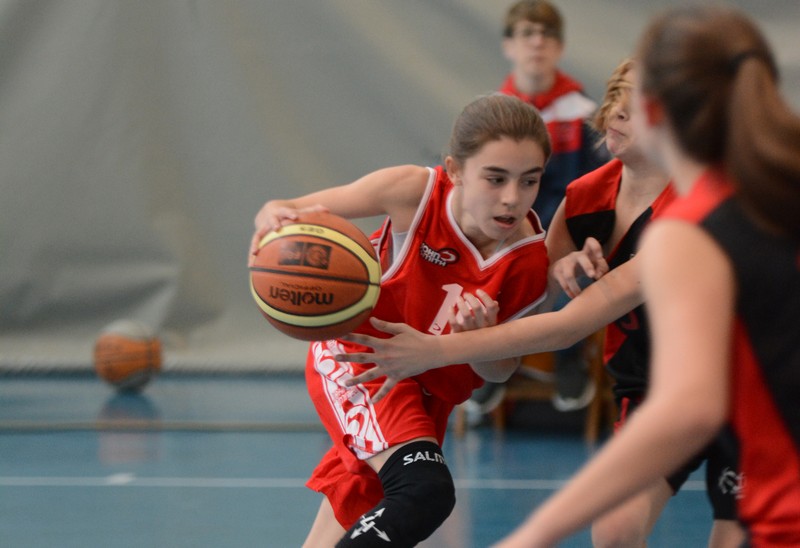 El minibasket navarro se pone a punto